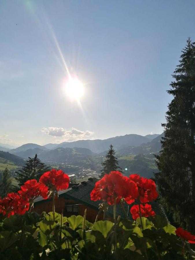 Ferienhaus Deutschmann Sankt Johann im Pongau Exteriör bild